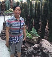 陆贵巧 照片