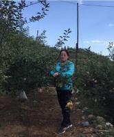 齐国辉 照片
