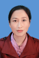 杨柳 照片