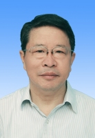 张辉 照片