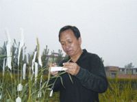 李锁平 照片
