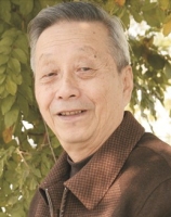山仑 照片