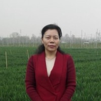 马冬云 照片