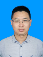 杨柳 照片