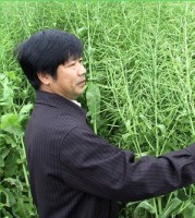 陈社员 照片