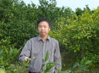 戴良英 照片