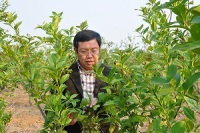 邓子牛 照片
