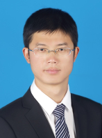 黄松 照片