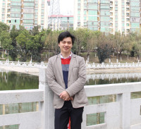 黄身桂 照片