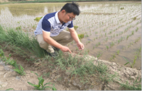 王进 照片