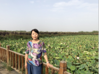 张红菊 照片