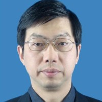 黄鹰 照片