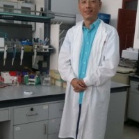 关树文 照片