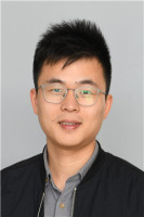 黄杨 照片