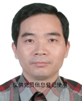 黄穗 照片