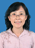 解伏菊 照片