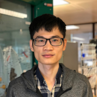 杨扬 照片
