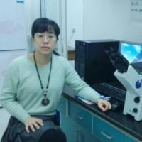 王澈 照片
