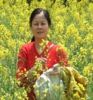 杨金辉 照片