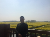陶磊 照片