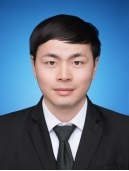 车树林 照片