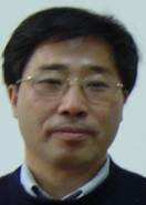 杨树林 照片