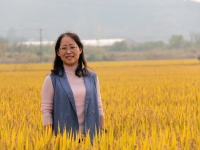 李娜 照片