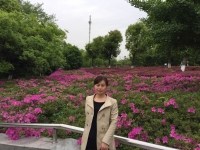 李枫 照片