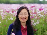 吴薛红 照片