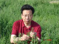 张永亮 照片