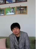王冬青 照片