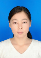 红梅 照片