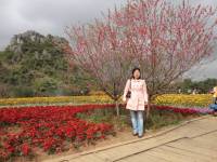 李香玲 照片