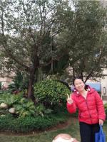 谢彩云 照片