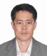 杨晓京 照片