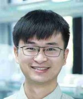 周帆 照片