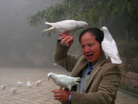 杨天宏 照片