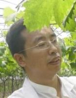 侯勇 照片