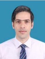 Naser Golsanami 照片