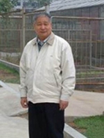 印象初 照片
