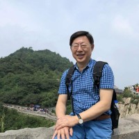 石鸥 照片