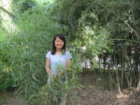 燕慧 照片
