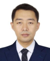 白鹤松 照片