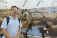 王阳 照片