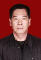 王晨 照片