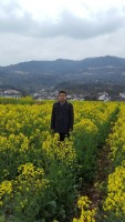 张波 照片