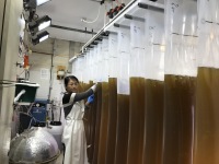 董婧 照片