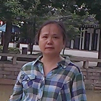 黄莺 照片