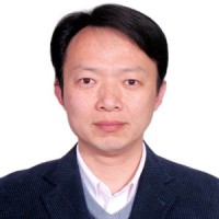 黄松 照片