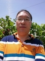 王野平 照片